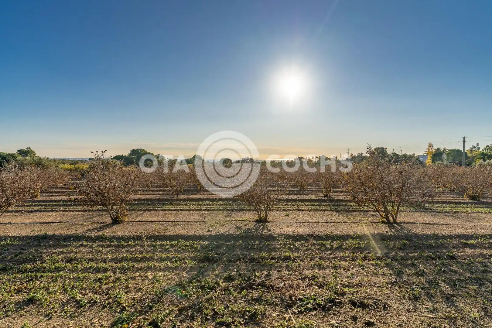 Finca rústica en venta en Castellvell del Camp