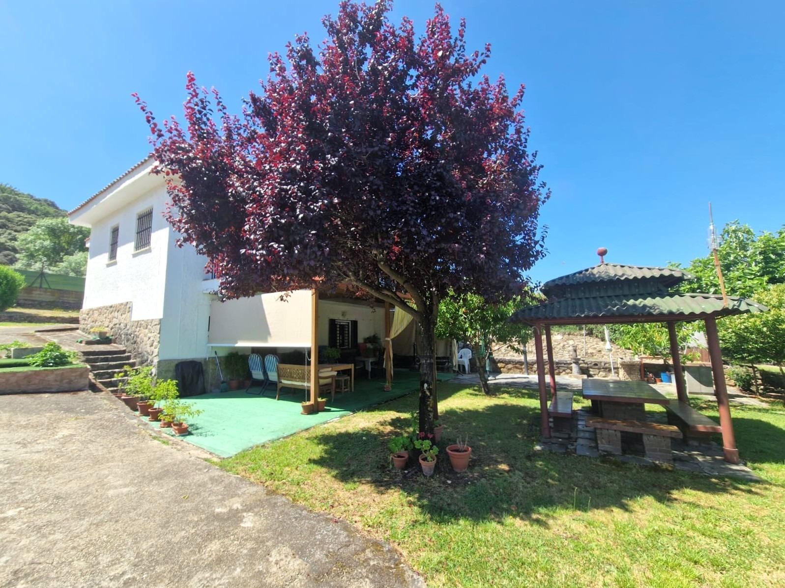 Jardí de Casa o xalet en venda en Casas del Castañar amb Terrassa, Piscina i Balcó