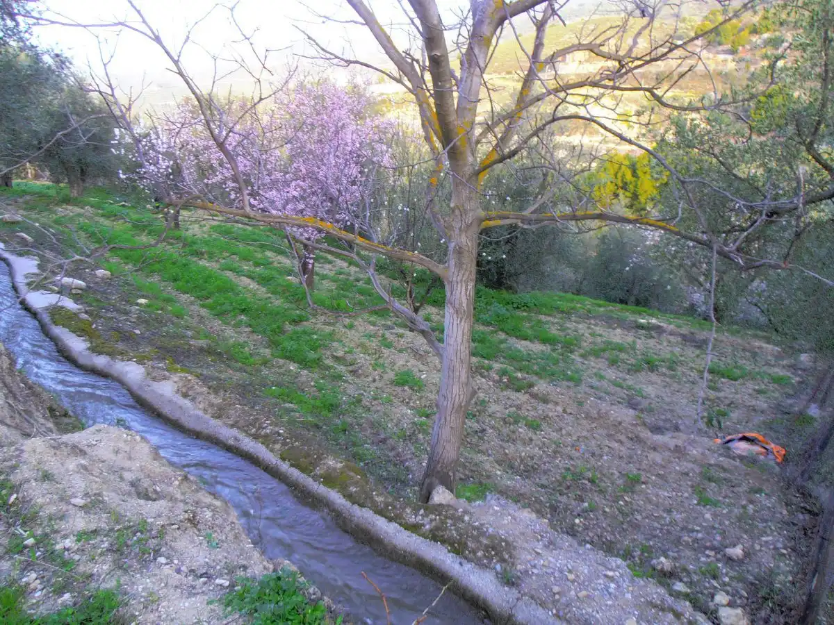 Rural land for sale in Órgiva, imagen 11
