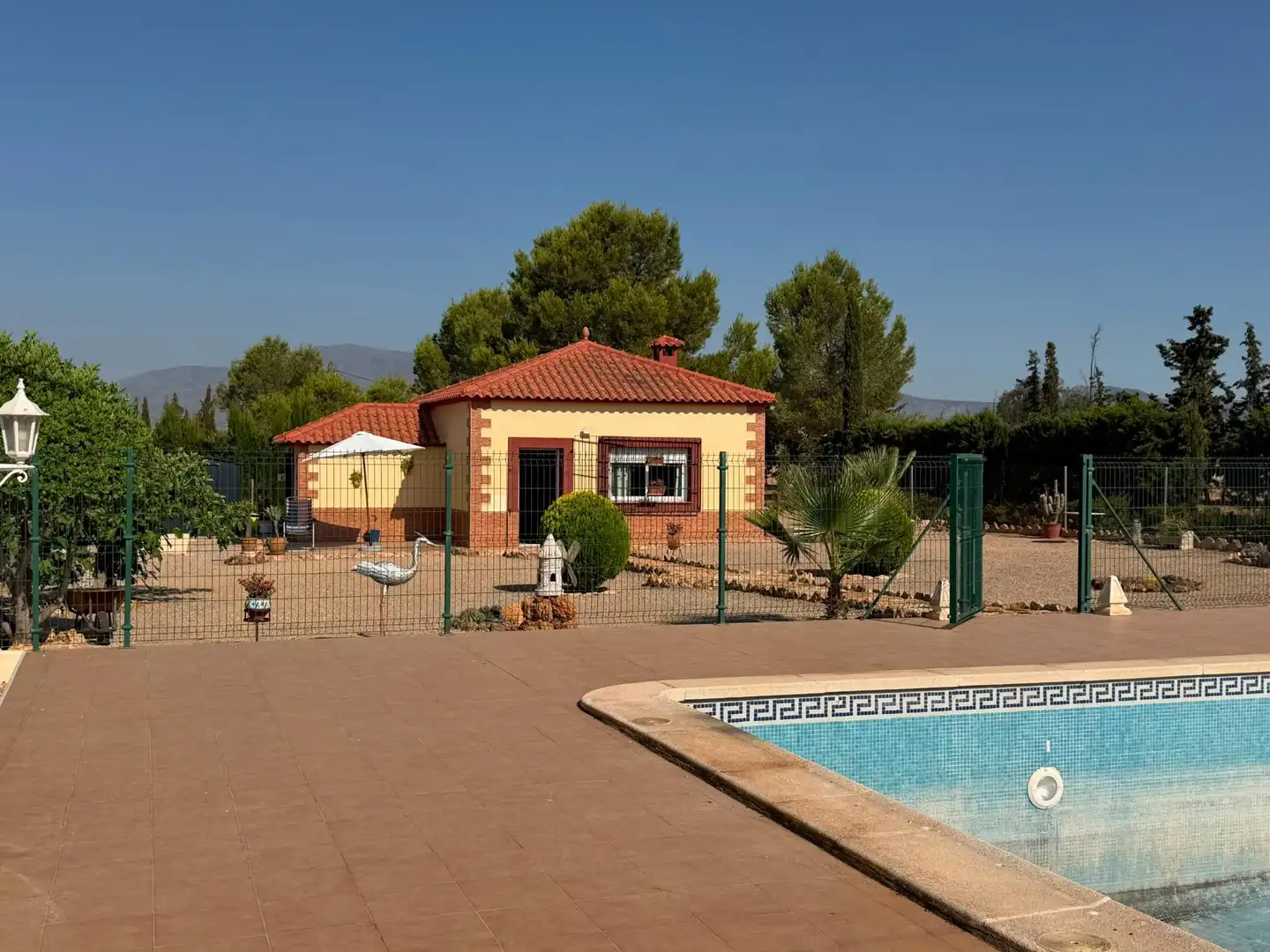 Piscina de Finca rústica en venda en Murcia amb Piscina