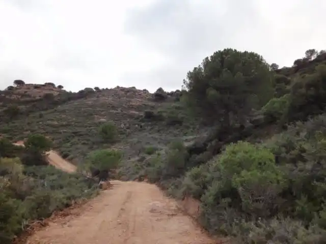 Terrenys i solars en venda a Paraje Vallota, imagen 13