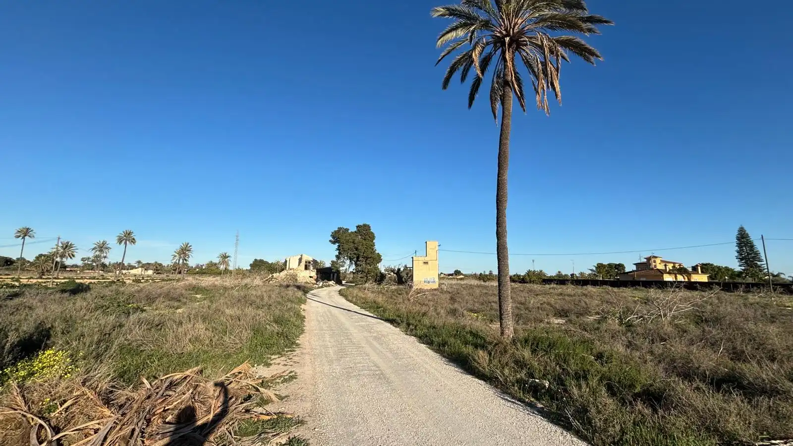 Grundstücke zum Verkauf in Elche / Elx