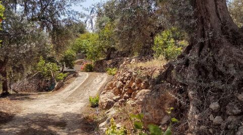 Terreno en venta en Pinos del Valle.