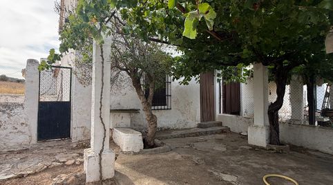 🌳 FINCA RÚSTICA Y COTO DE CAZA EN VENTA