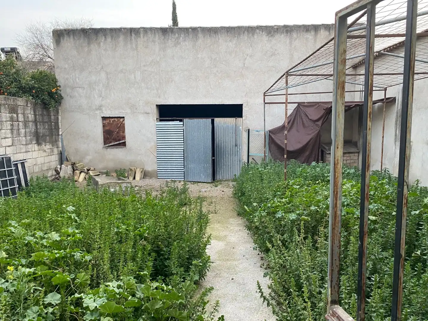 Casa rústica amb jardí en venda a Calle Ancha 38, imagen 5