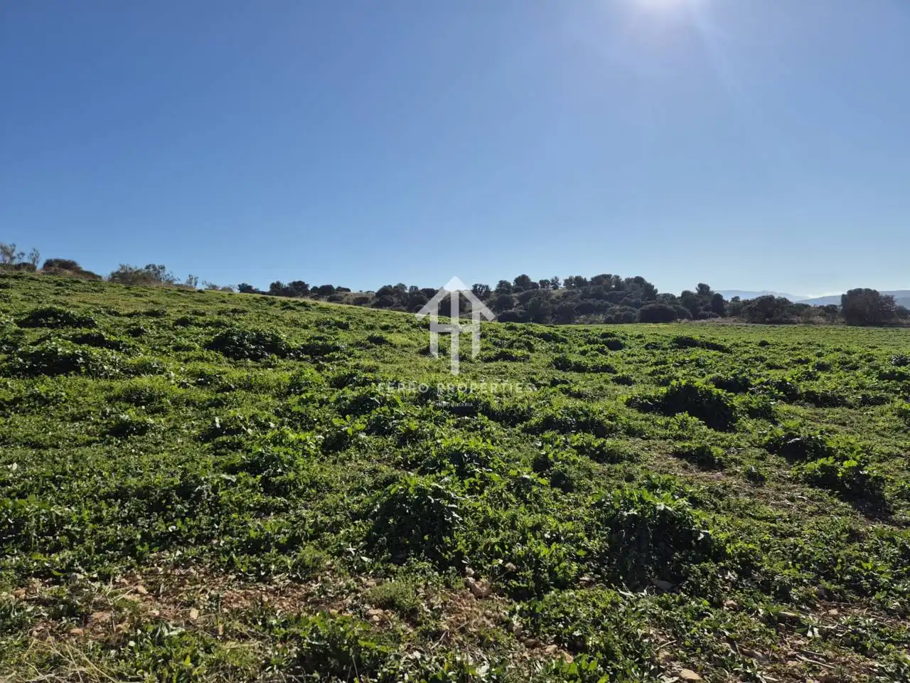 Terreni e lotti in vendita a Alhama de Granada, imagen 8
