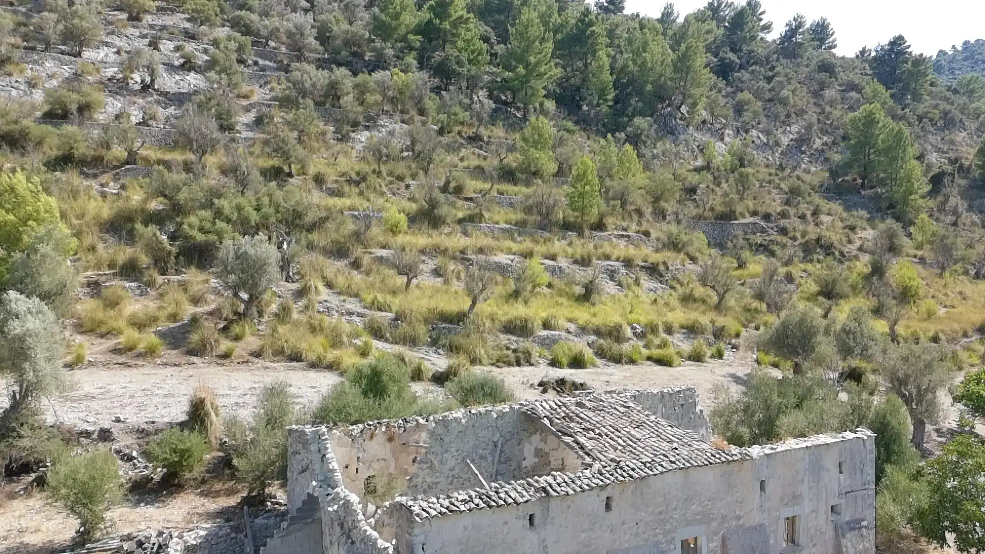 Terrenos y solares en venta en Carretera POLIGON 5 RUSTEGA, imagen 24