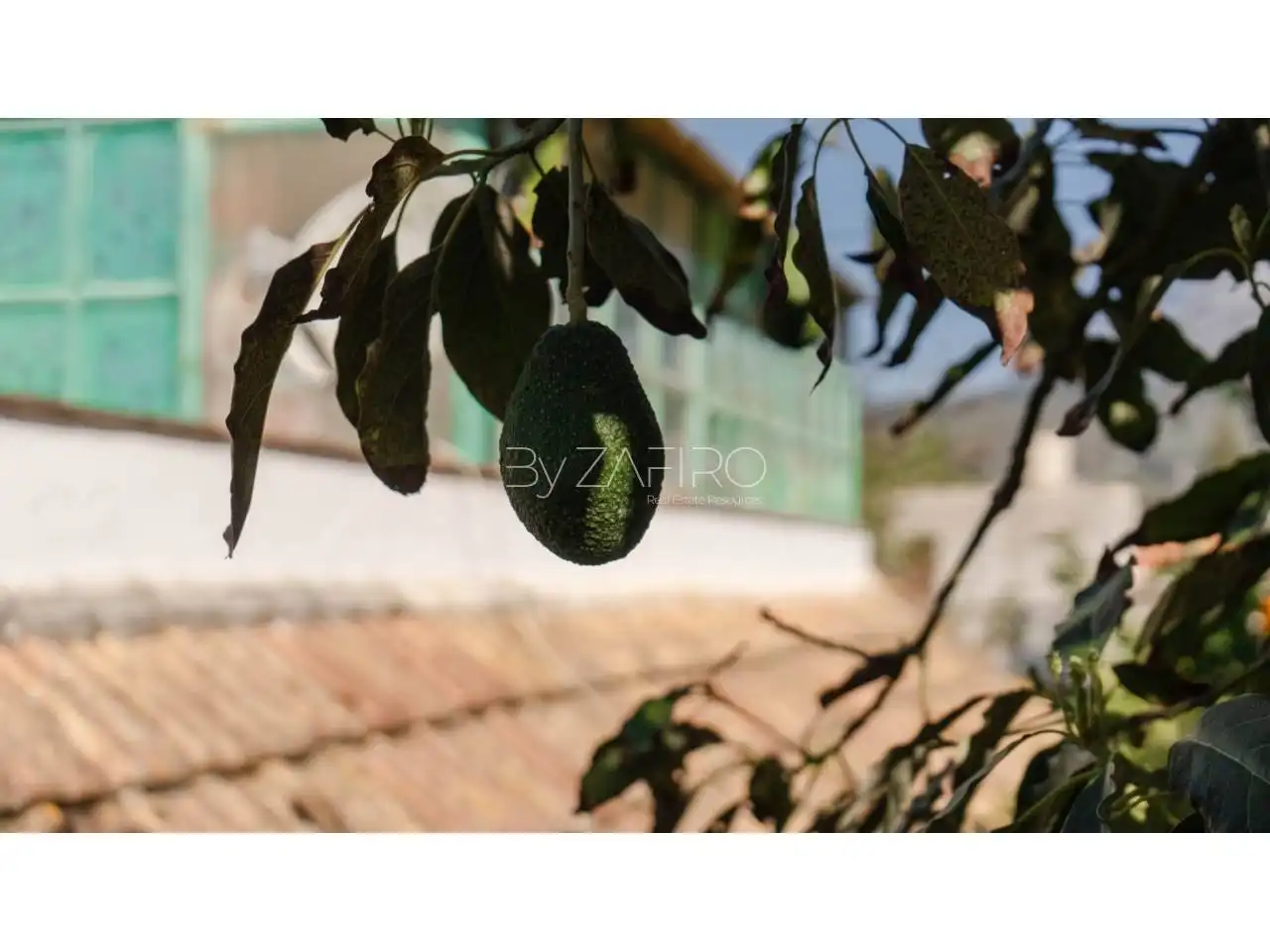 Jardí de Casa o xalet en venda en San Cristóbal de la Laguna amb Jardí privat i Terrassa