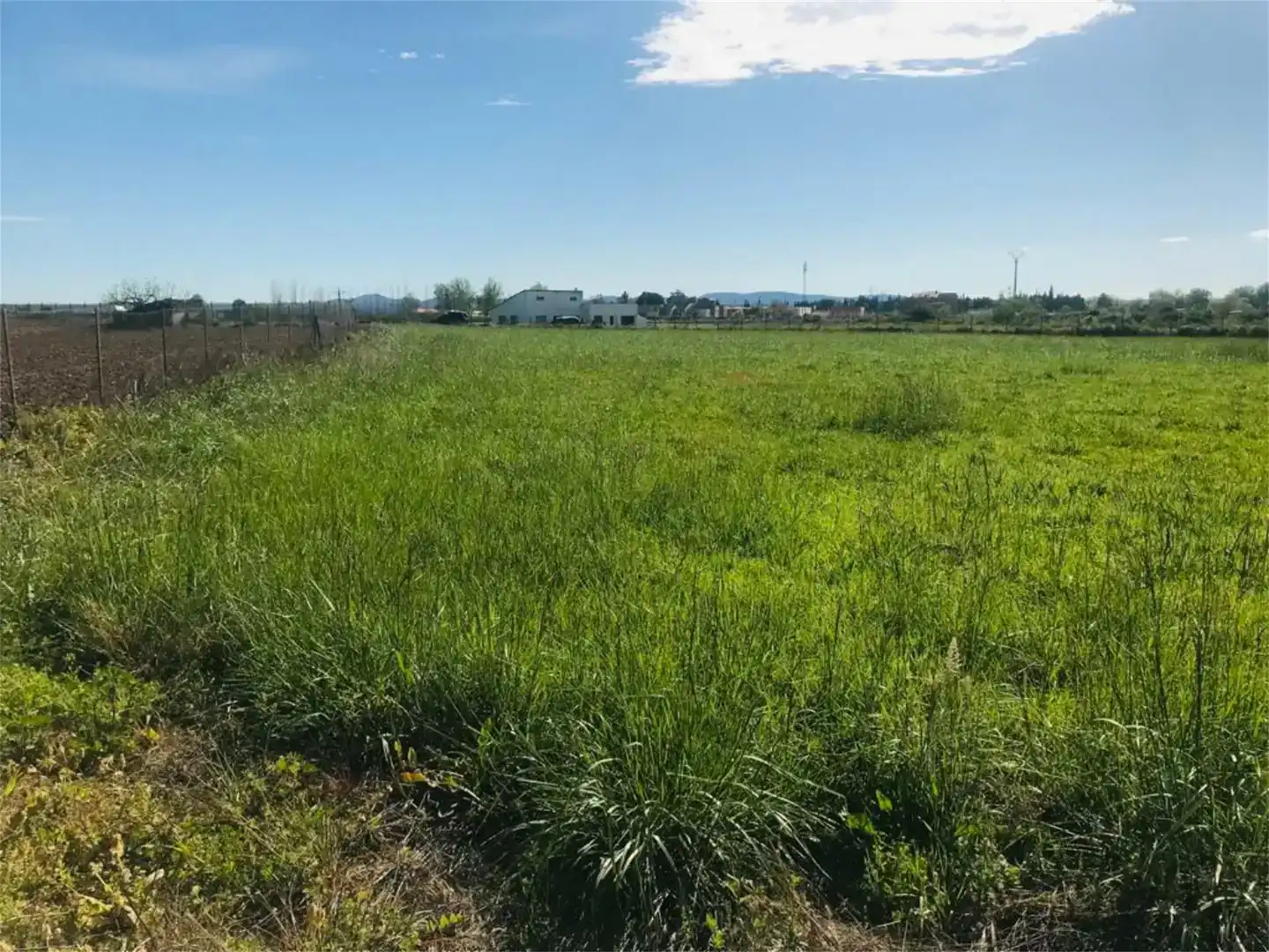 Land for sale in Moraleja