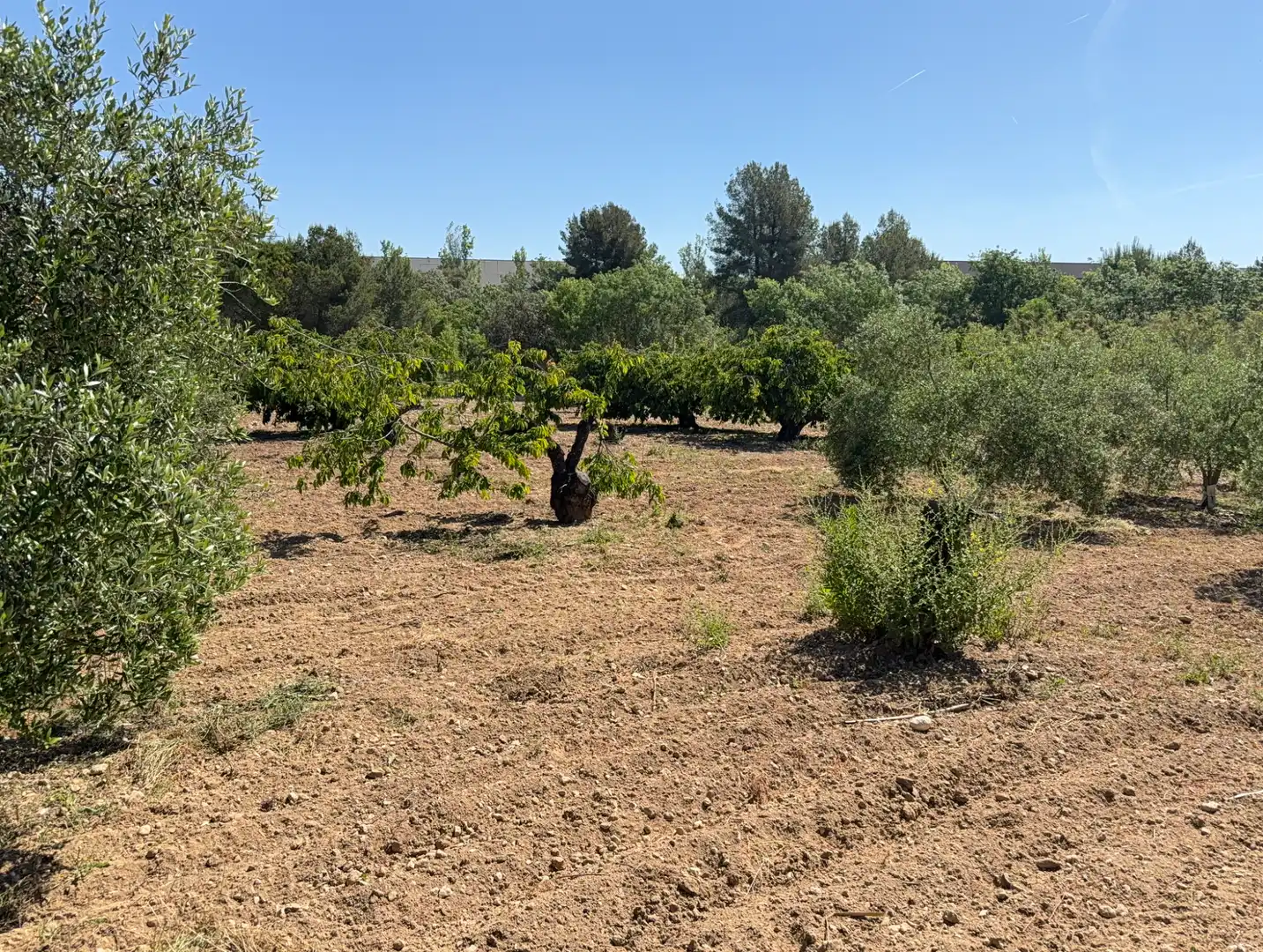 Rustikales Grundstück zum Verkauf in Camí del Cementiri 97, imagen 9