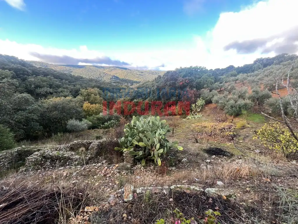 Finca rústica en venda en Castañar de Ibor