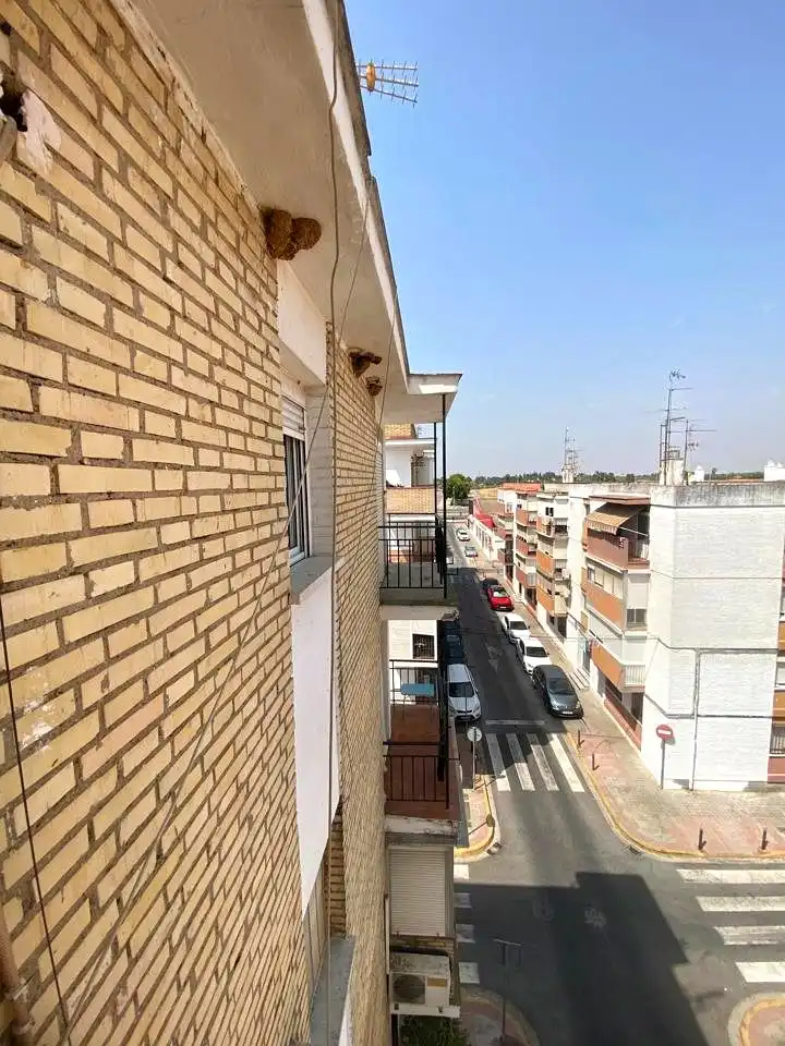 Exterior view of Flat for sale in Dos Hermanas