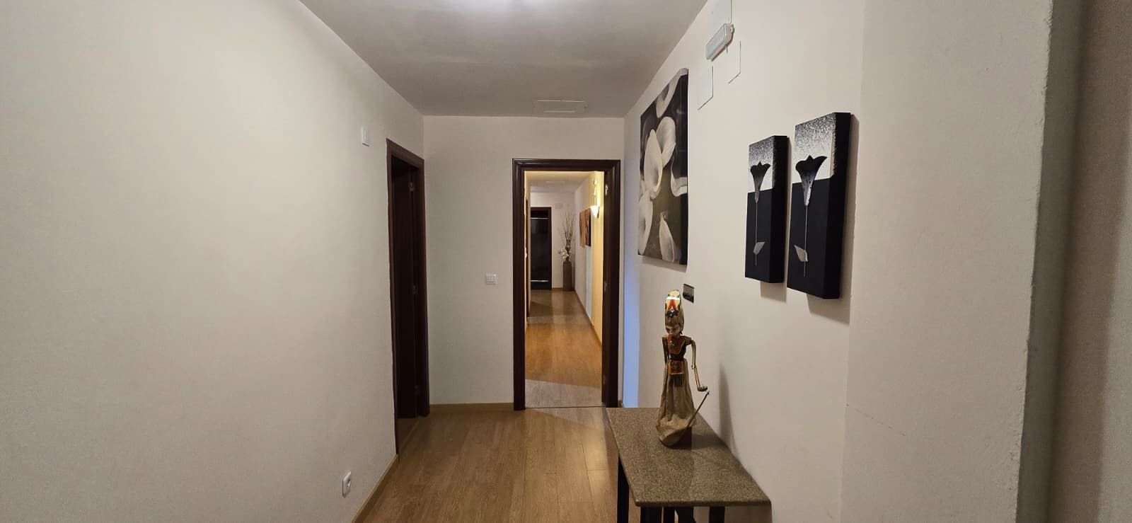 Pis en venda en Argamasilla de Calatrava amb Aire condicionat, Terrassa i Moblat