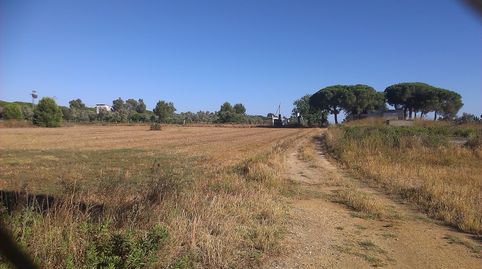 VENDO FINCA DE CASI 90 HECT CON CEBADERO DE CERDOS, OLIVAR ETC.CERCANA A ALGODONALES.