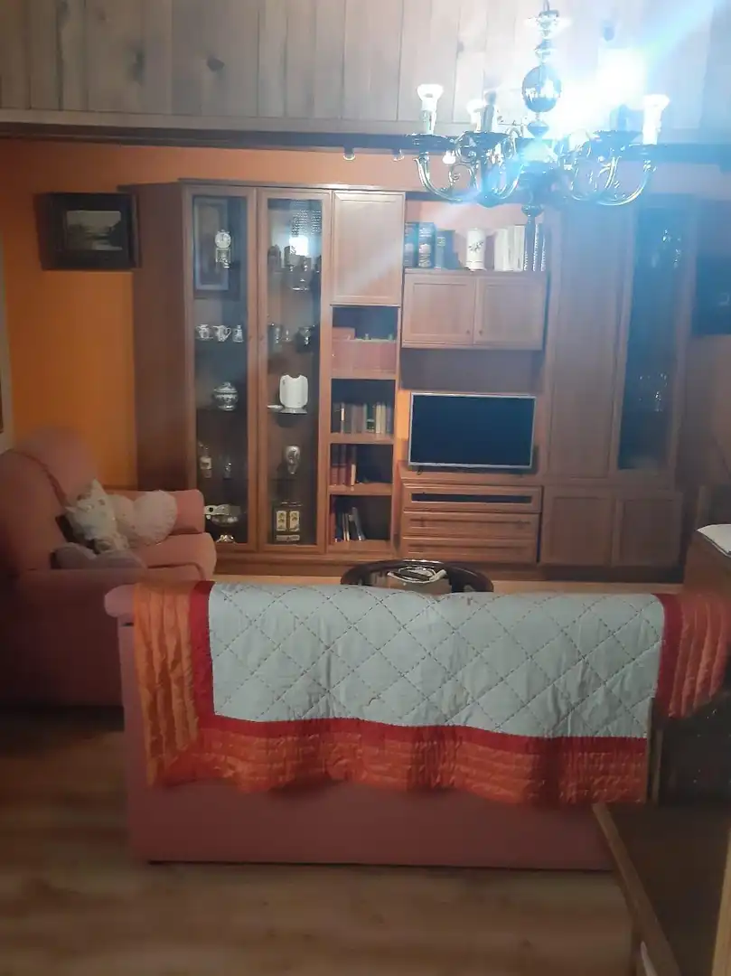 Living room of Houses for sale in Puente de Domingo Flórez  with Heating