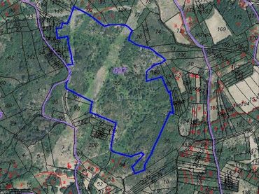 Terrain rustique à vendre à Aldea Fontefria 3