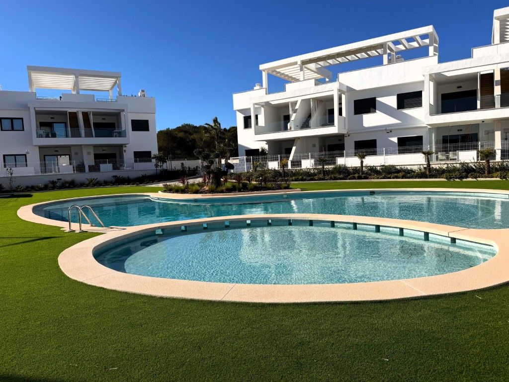 Piscina de Casa o xalet en venda en Torrevieja amb Terrassa i Piscina