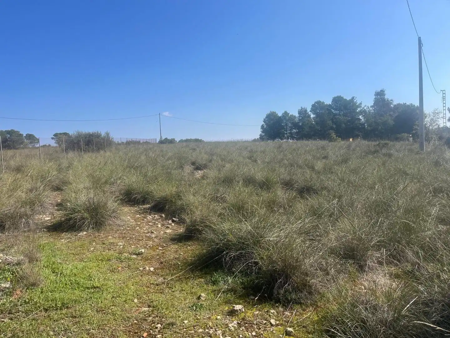 Terreni e lotti in vendita a Almansa, imagen 2