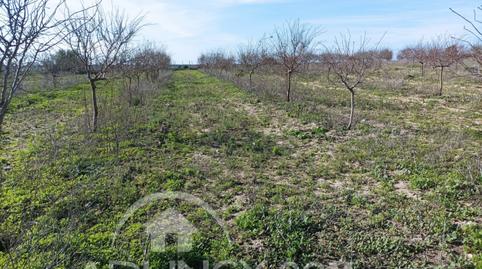 Photo 5 of Country house to rent in La Banda - Campo de Fútbol, Cádiz