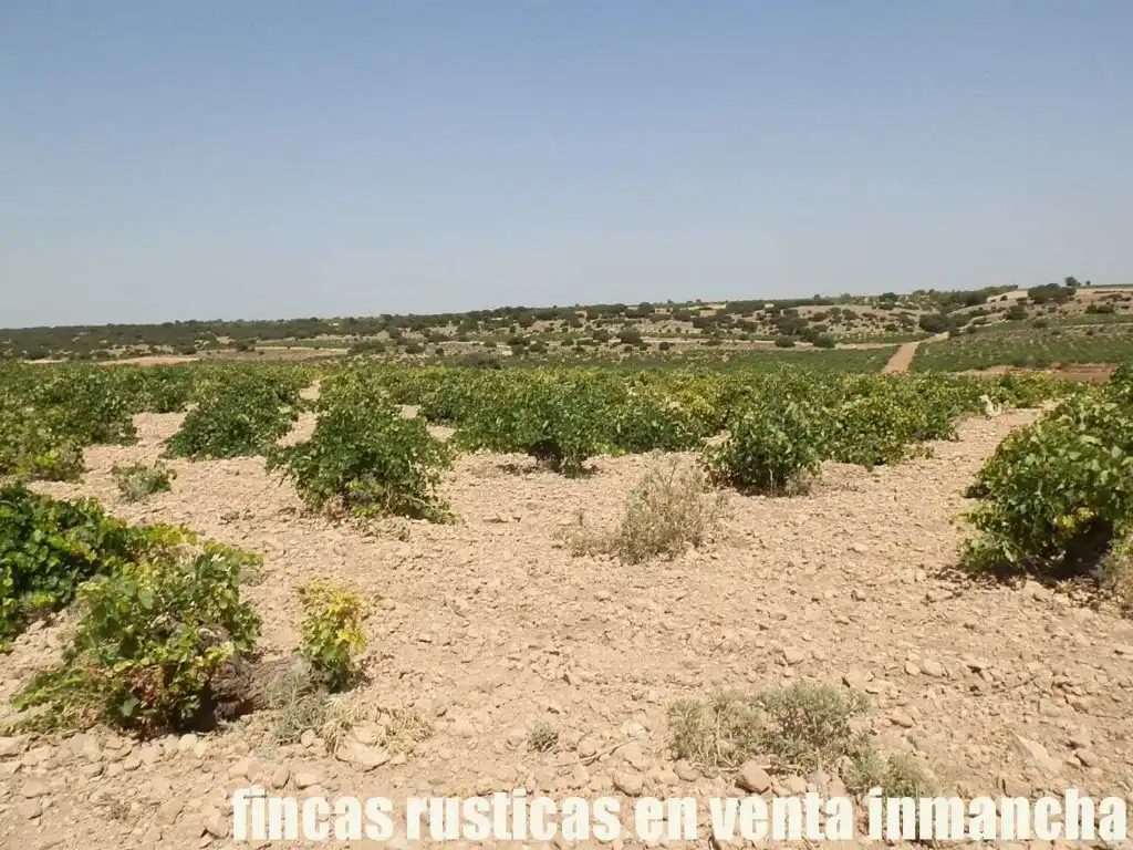 Terreni e lotti in vendita a Mota del Cuervo, imagen 6