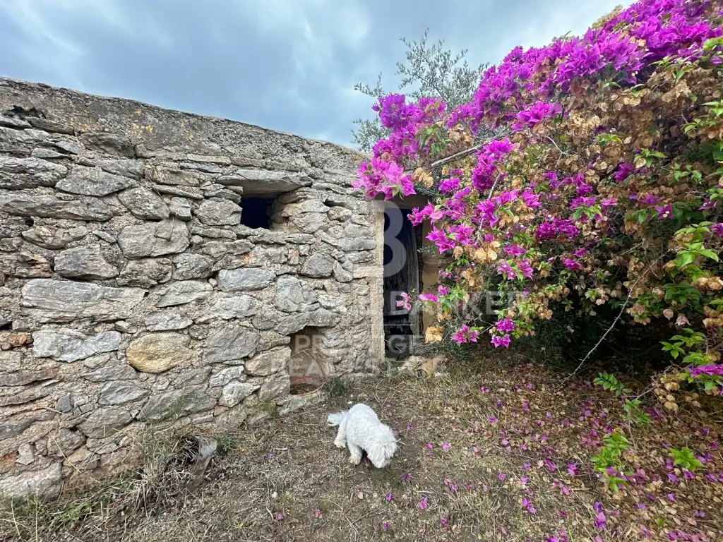 Casa rustica in vendita a Artà Poble, imagen 3