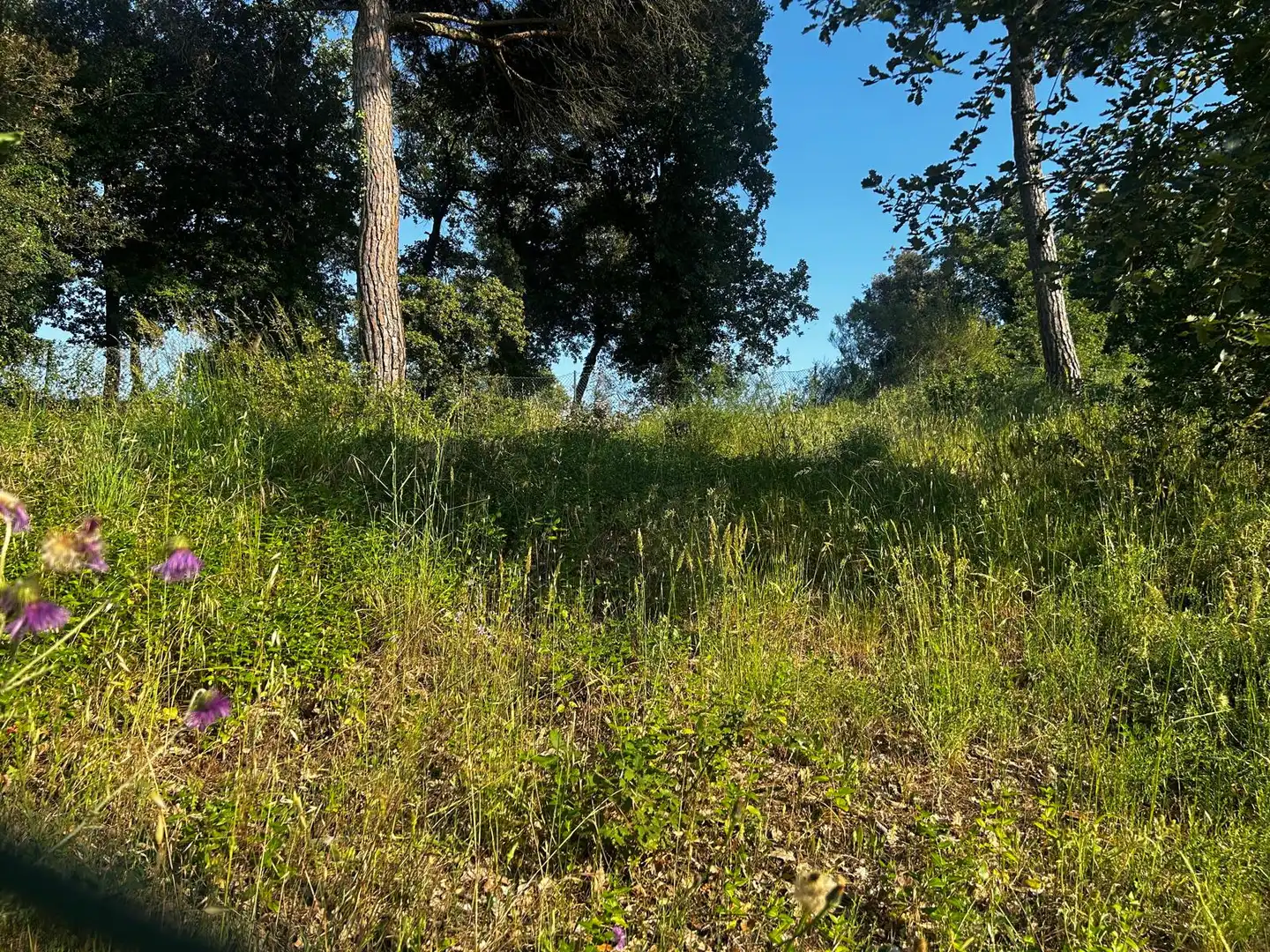 Residential land for sale in Residencial Park, imagen 12