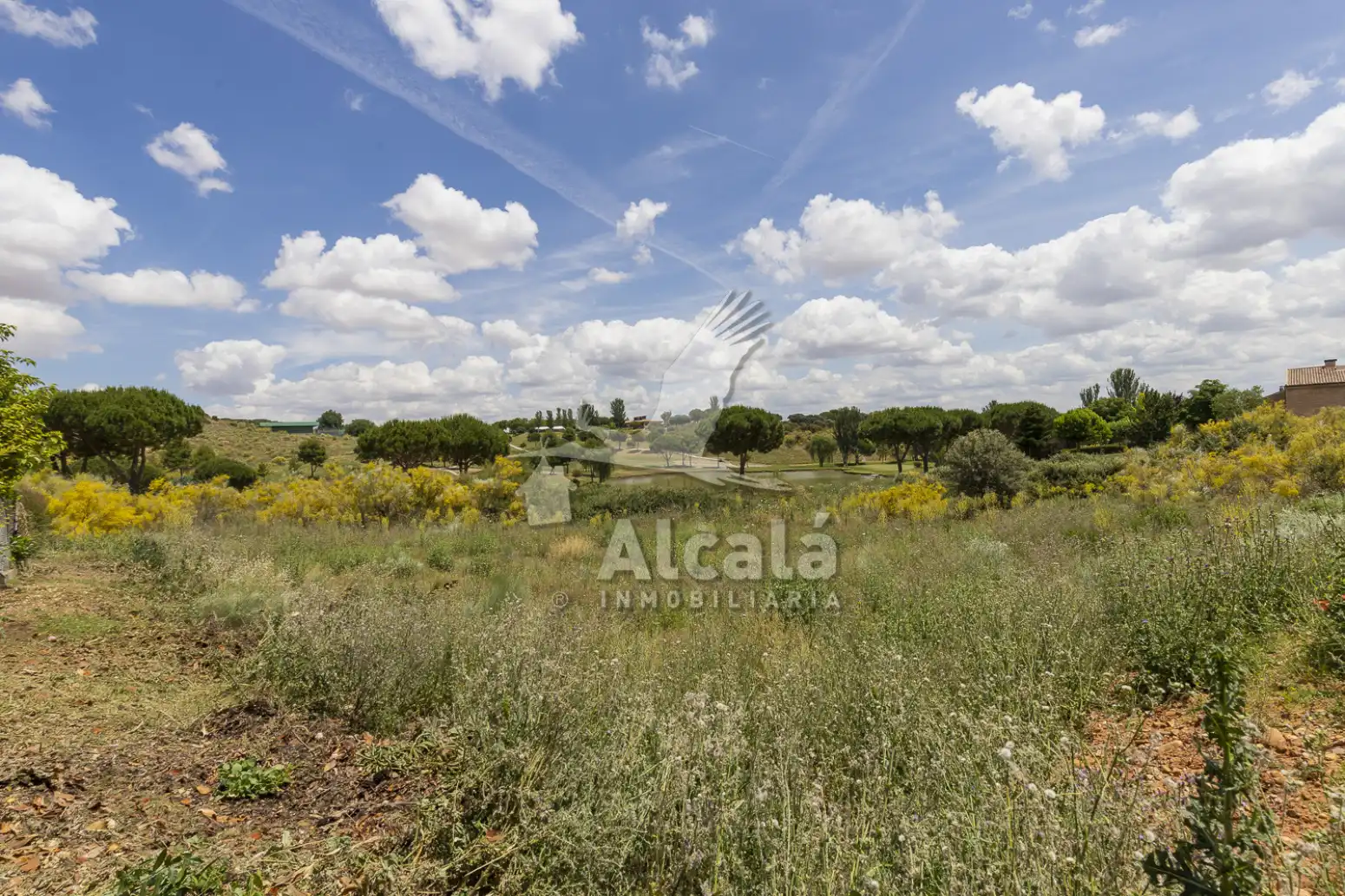 Terreny rústic en venda a Cabanillas del Campo, imagen 18