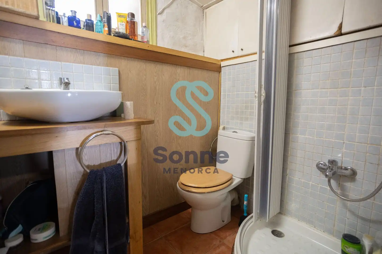 Bany de Casa o xalet en venda en Ferreries amb Jardí privat, Terrassa i Piscina