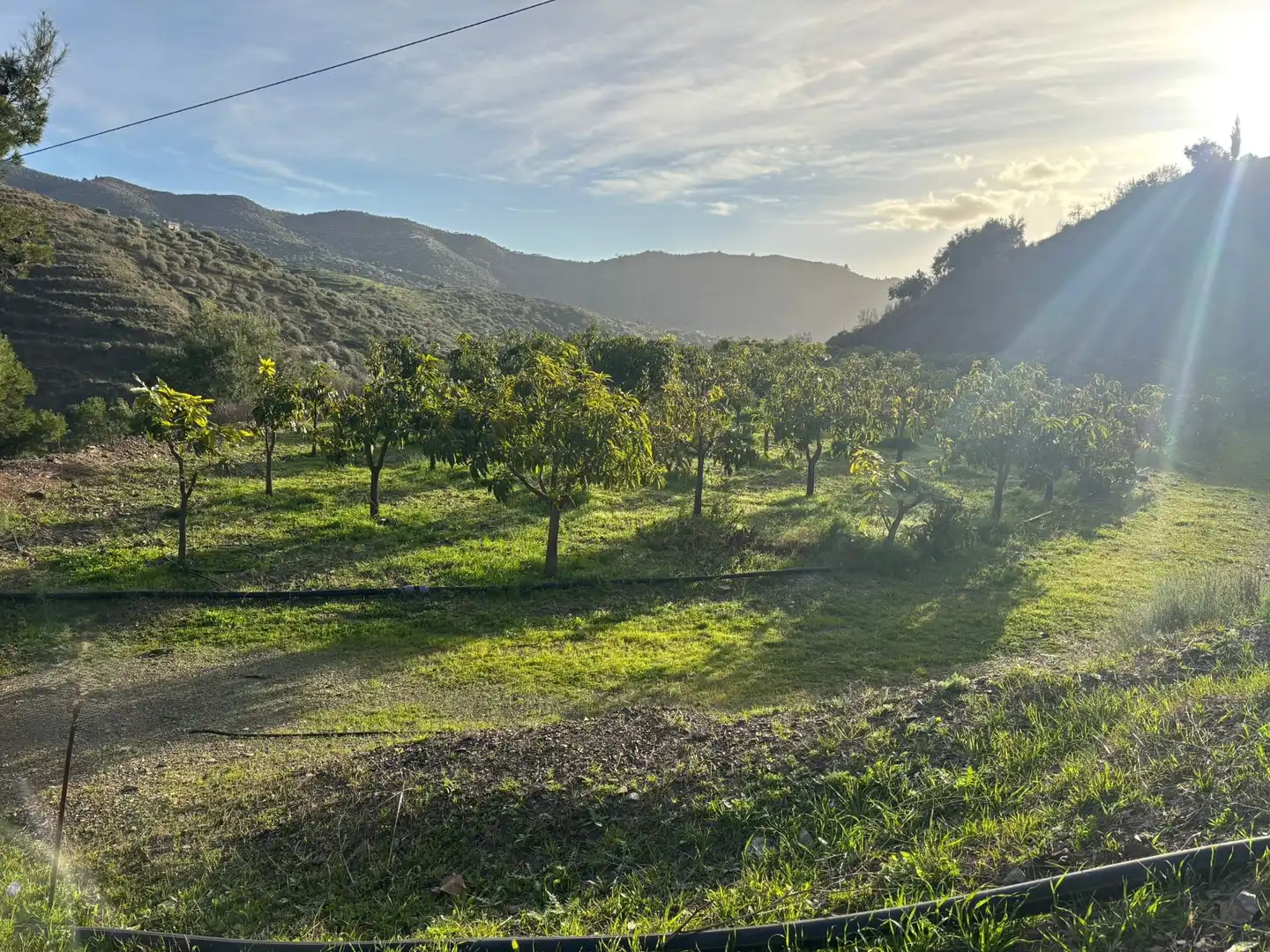 Vista exterior de Finca rústica en venda en Sedella amb Jardí privat, Terrassa i Traster