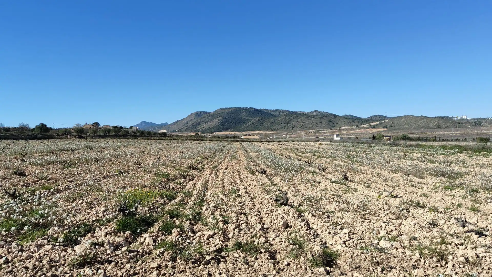 Lands and plots for sale in Abanilla, imagen 3