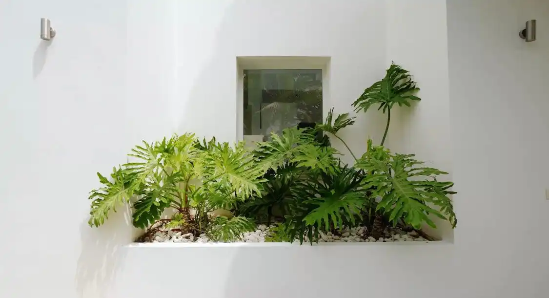 Casa o xalet de lloguer a Guadalmina Baja