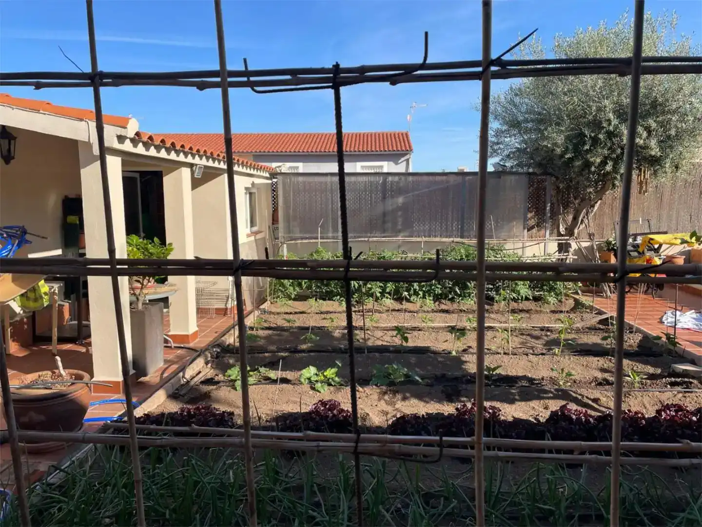 Garten von Erdgeschoss zum Verkauf in Plasencia mit Klimaanlage und Schwimmbad