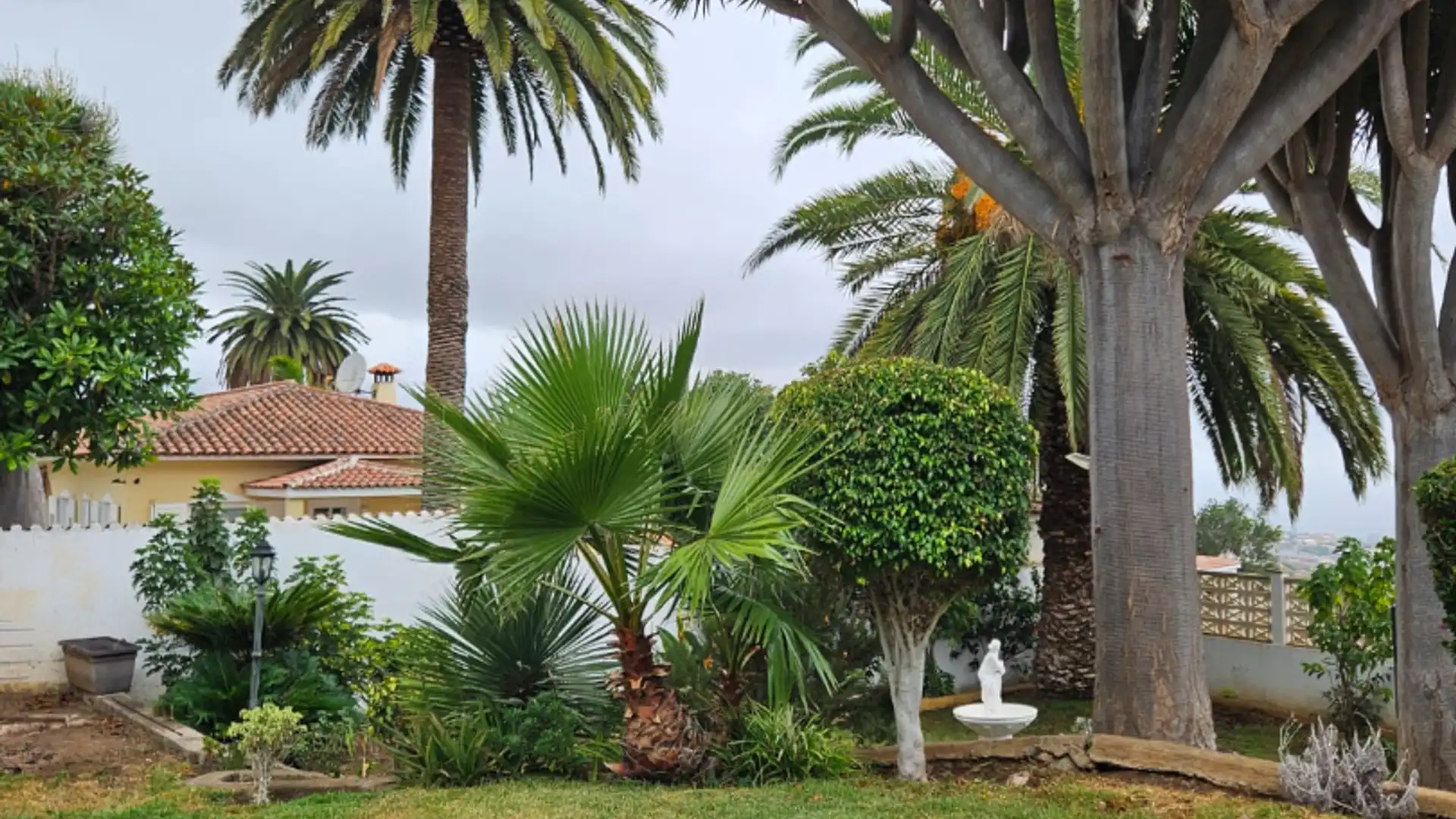 Jardín de Casa o chalet en venta en La Orotava con Jardín privado, Terraza y Piscina