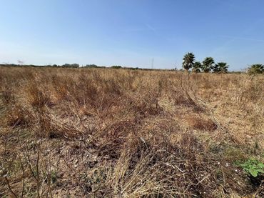 Terreno rustico in vendita a Avenida Avenida Cádiz