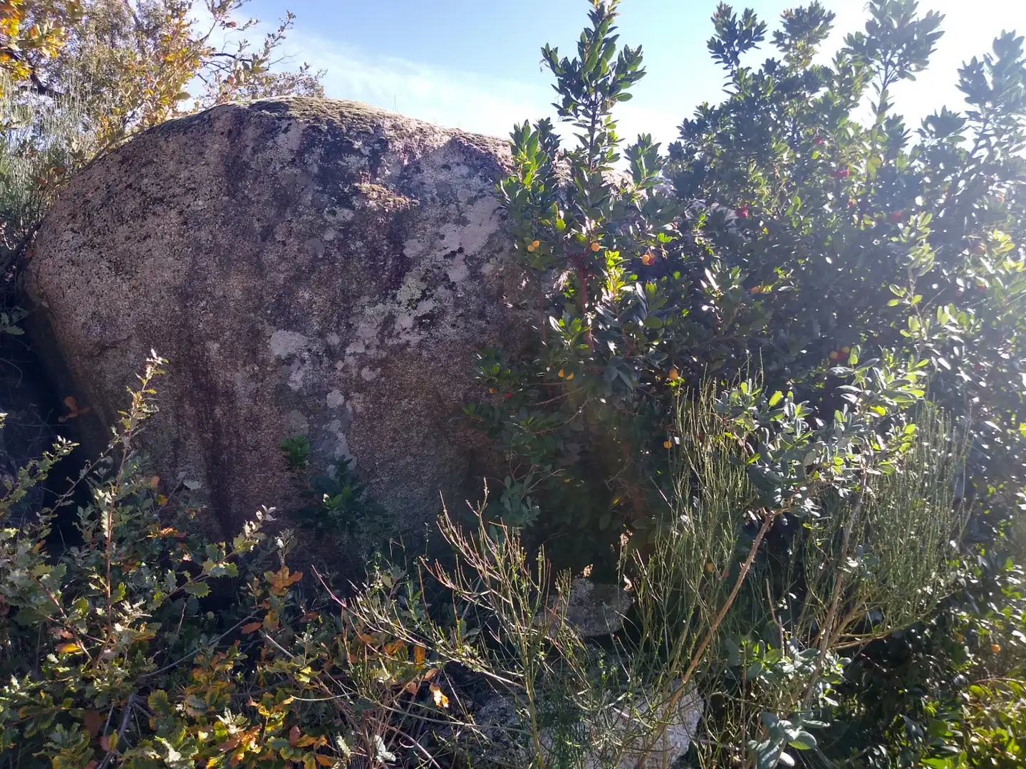 Rural land for sale in Cadalso de los Vidrios, imagen 17