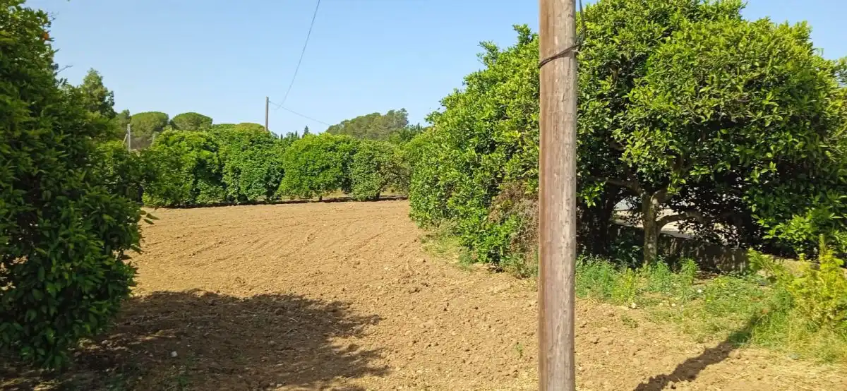 Country homes for sale in Jerez de la Frontera