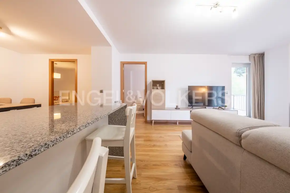 Sala de estar de Piso de alquiler en La Massana con Calefacción, Parquet y Terraza