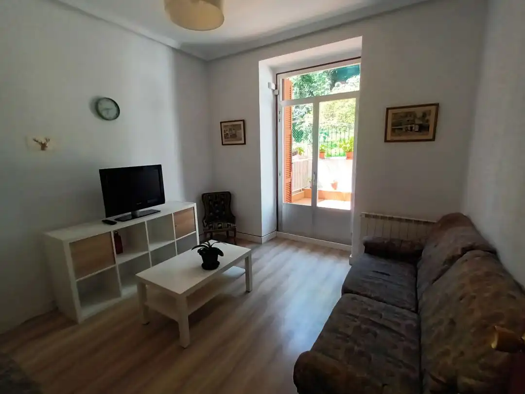 Sala d'estar de Pis de lloguer en Donostia - San Sebastián  amb Calefacció, Terrassa i Balcó