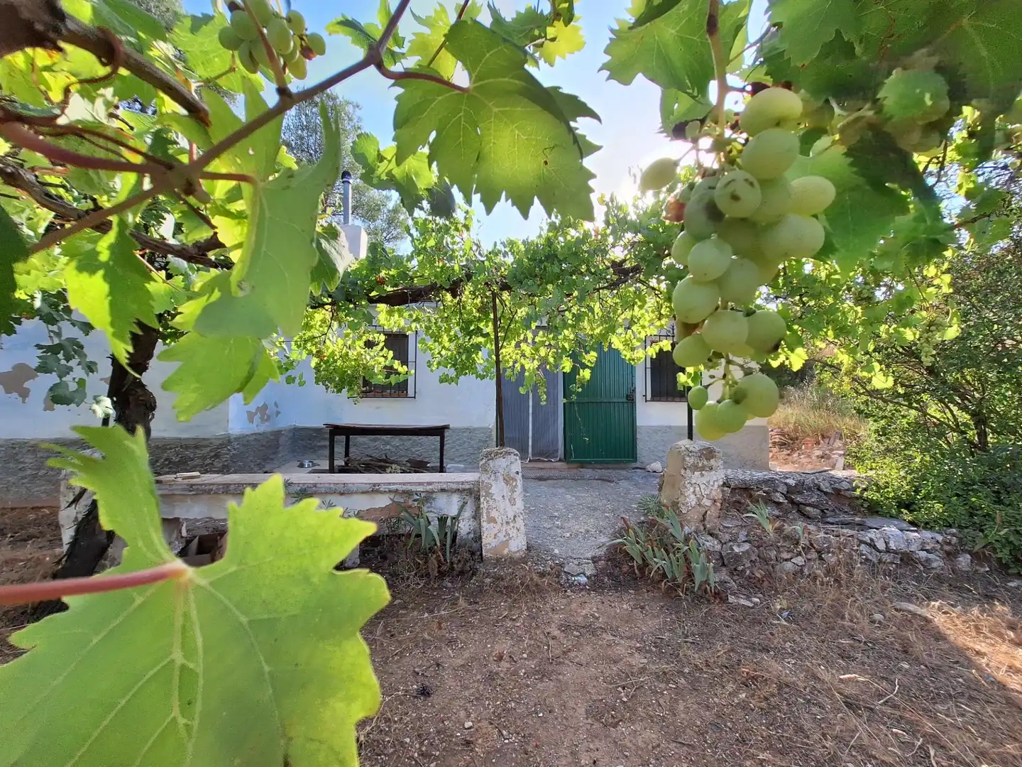Jardín de Finca rústica en venta en Alcoy / Alcoi con Trastero y Amueblado