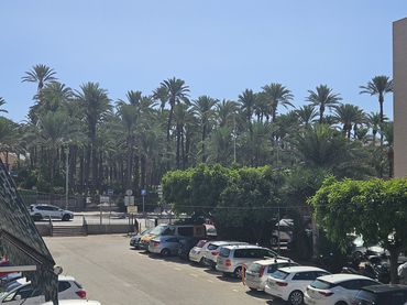 Pis en venda a Santa Pola ciudad