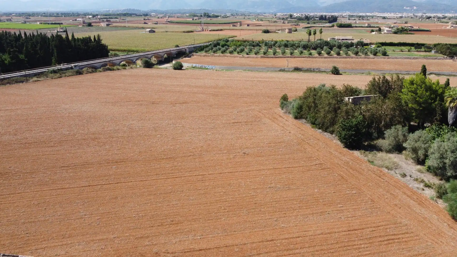 Terreny rústic en venda a Muro, imagen 7