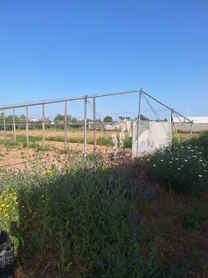 Terreni e lotti in vendita a Pedanías Norte, imagen 11