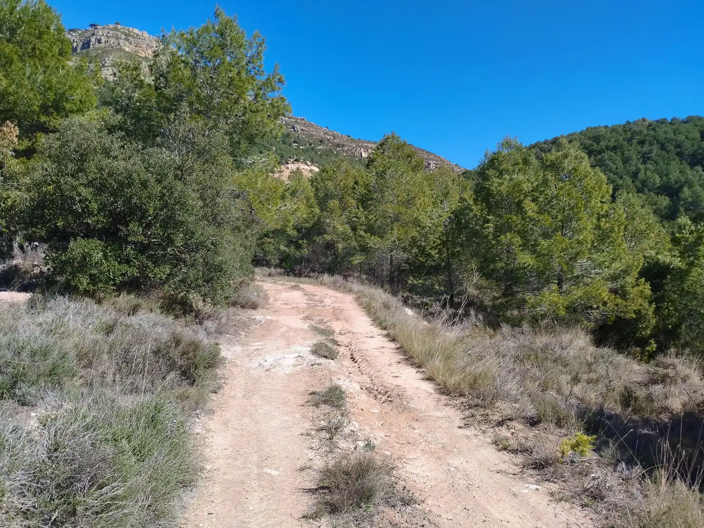Terreno en venta en La Morera de Montsant