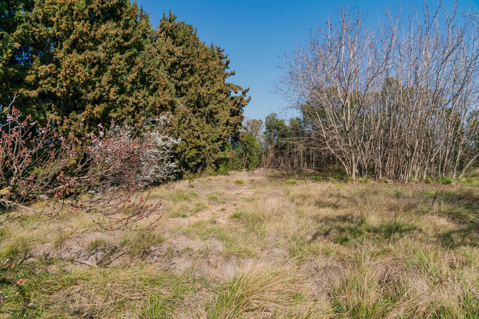 Finca rústica en venda en Pedrola amb Jardí privat, Terrassa i Moblat