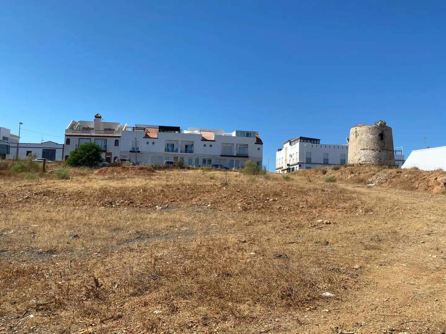 Lands and plots for sale in Calle Picual, imagen 6