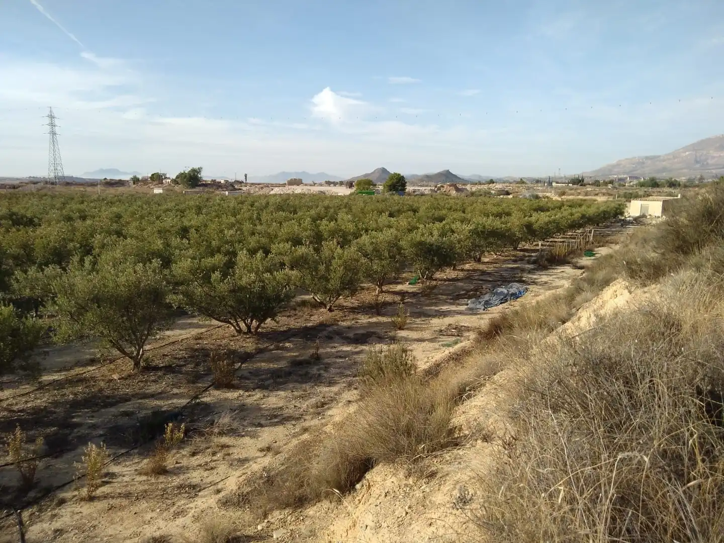 Terreny rústic en venda a Agost, imagen 14