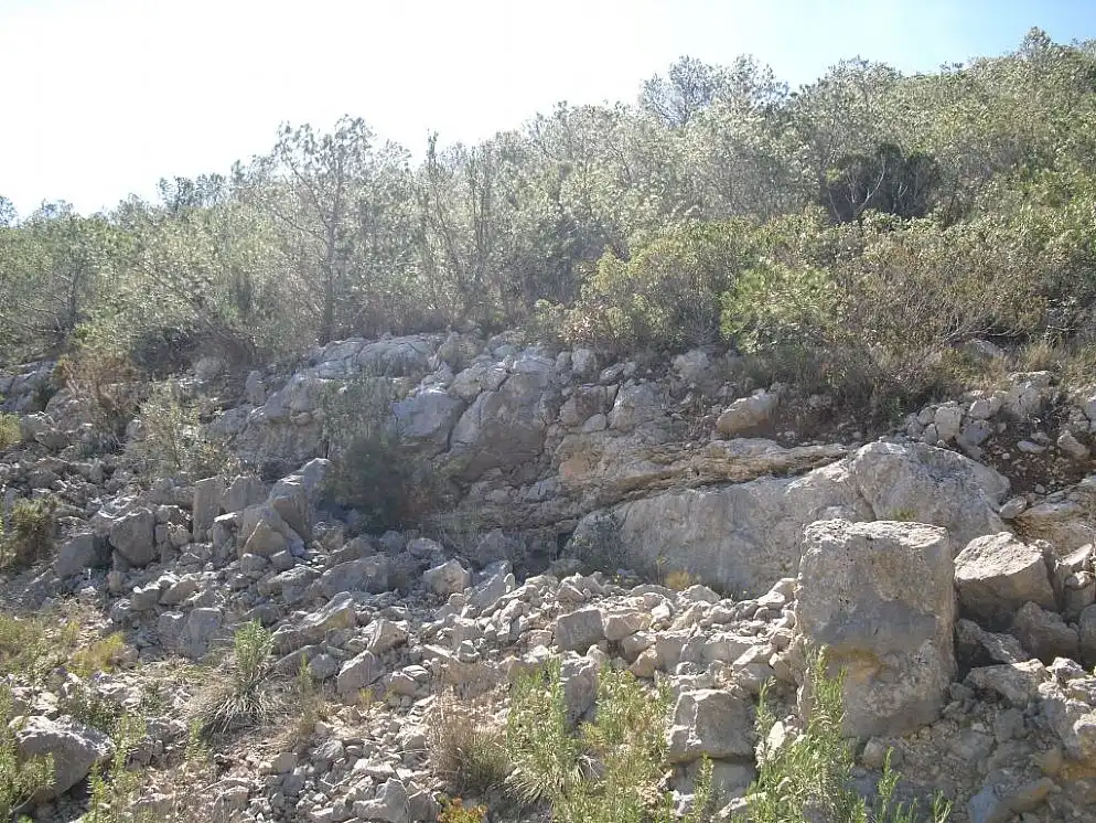 Rural land for sale in C/ Isla Mancolibre, imagen 7