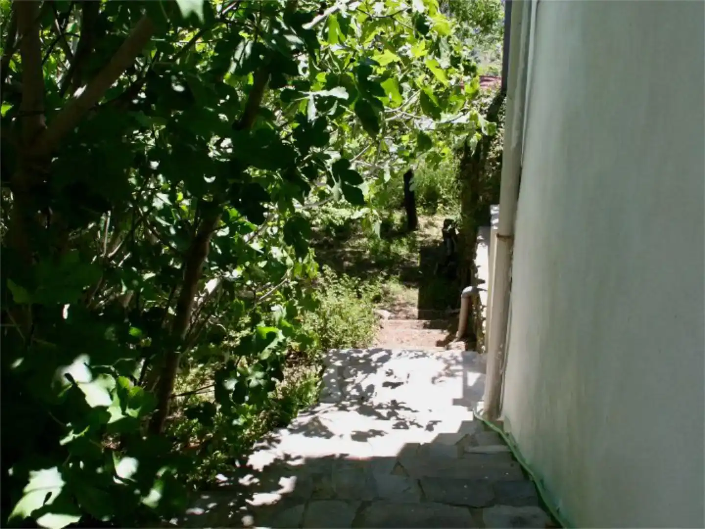 Jardí de Finca rústica en venda en Carataunas amb Balcó