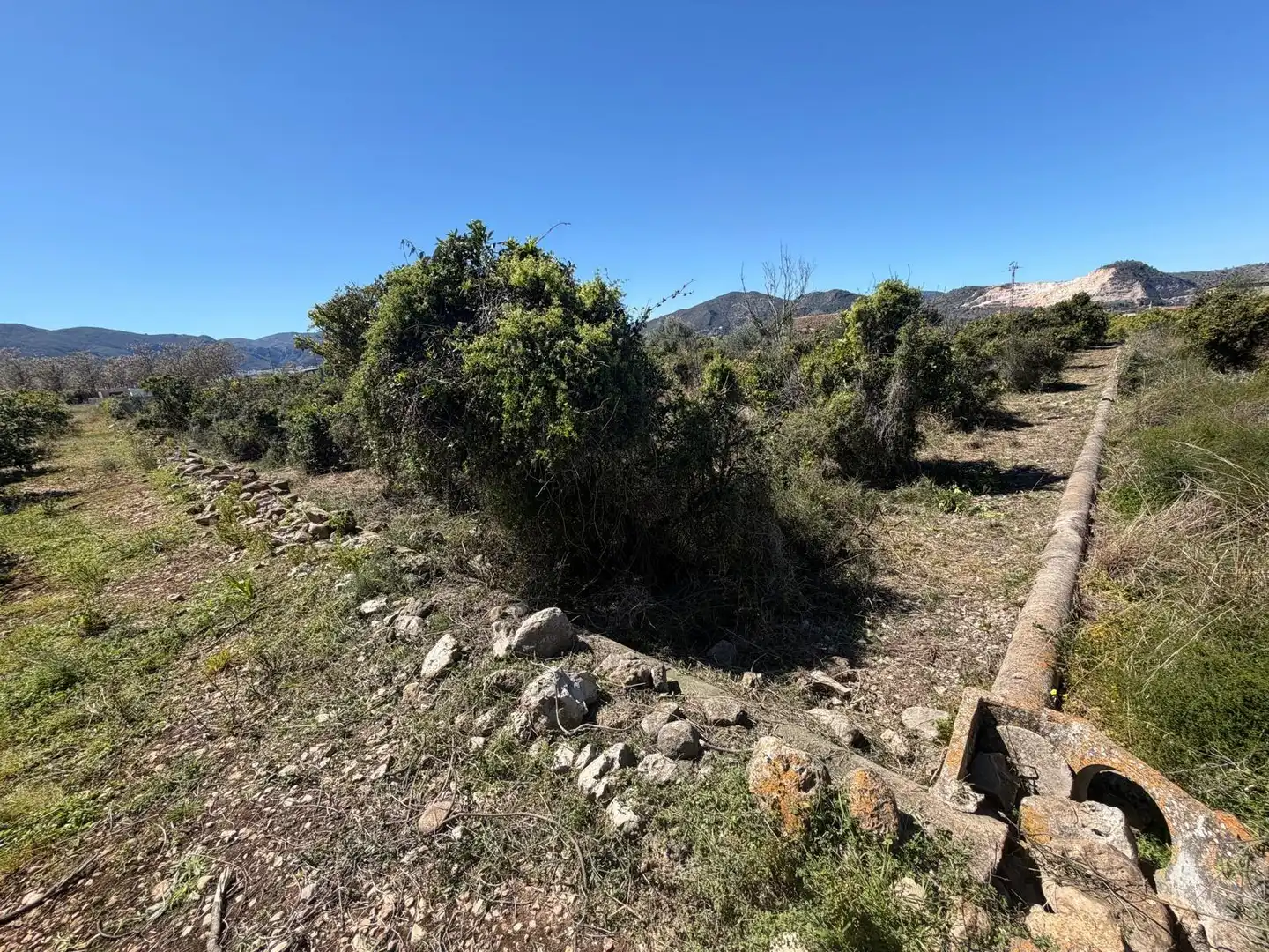 Rural land for sale in Pego, imagen 17