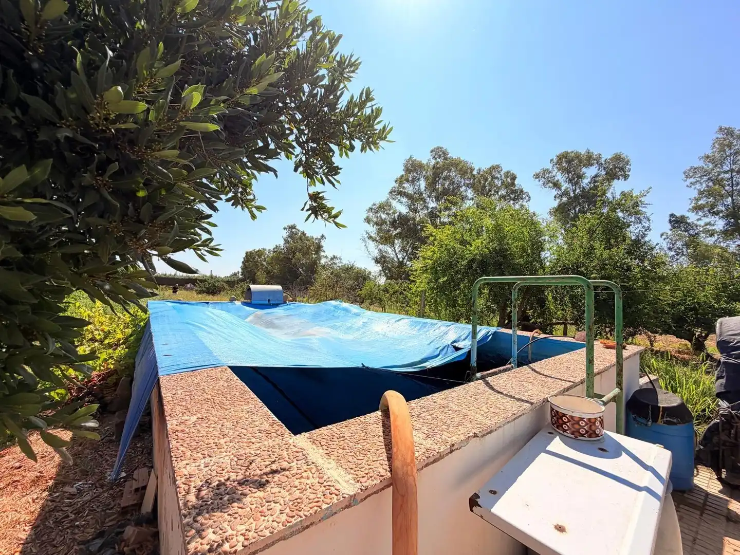 Piscina de Casa o chalet en venta en Valverde de Mérida con Jardín privado, Terraza y Trastero